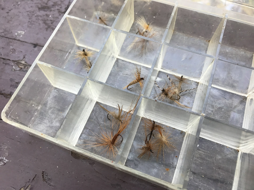 fly fishing flies in a divider box