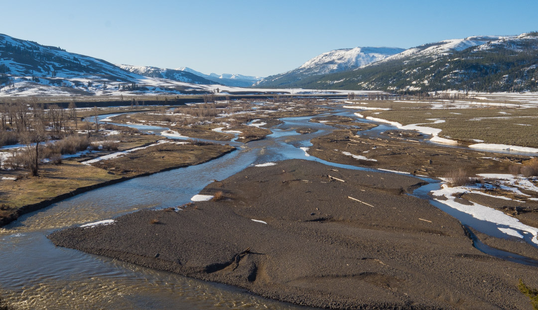 Lamar River and Soda Butte Creek Confluence