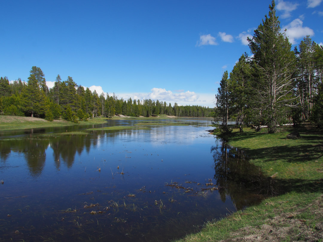 Gibbon River flooding near Norris Campground Yellowstone