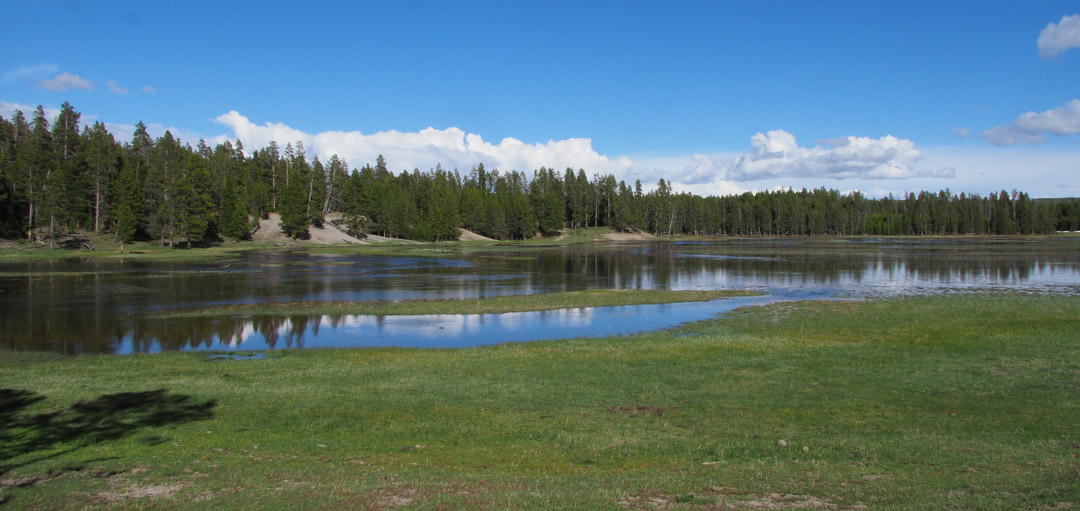 Gibbon River in Spring Flood Yellowstone