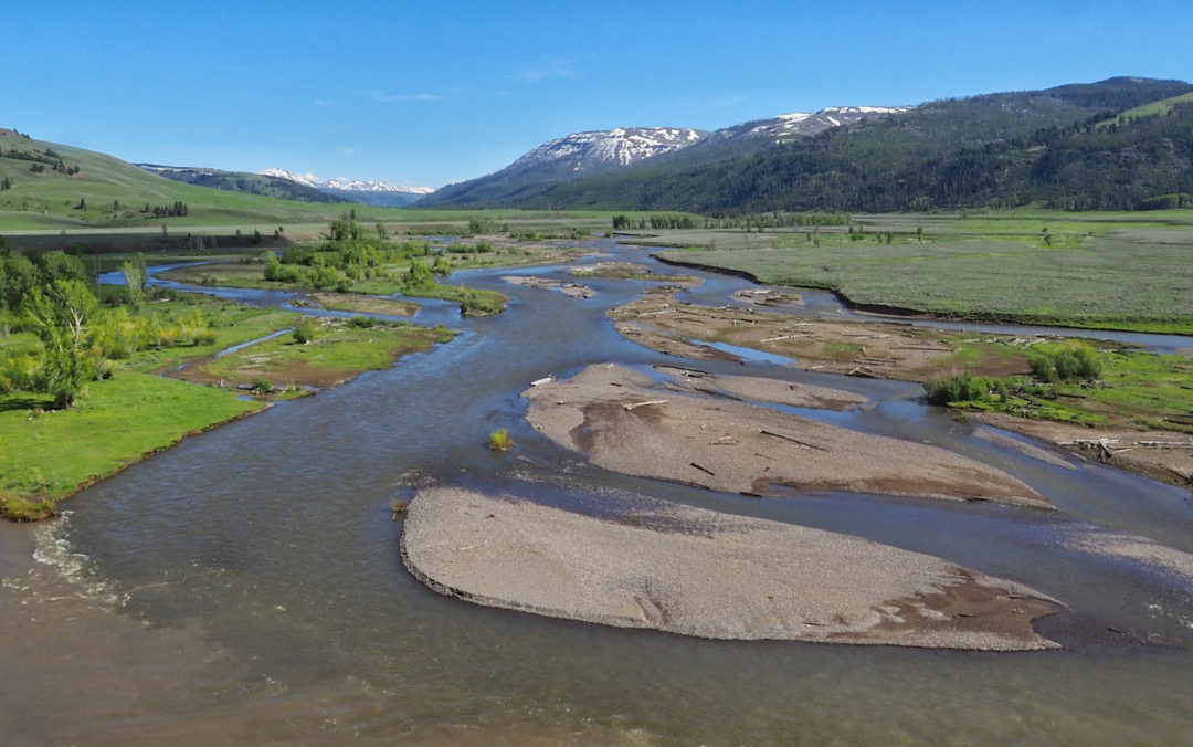 Soda Butte Creek and Lamar River Confluence