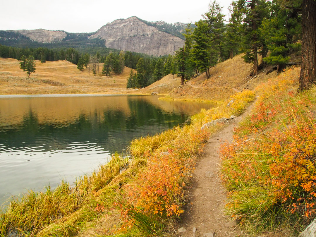 Beaver Ponds Trail Yellowstone Day Hikes