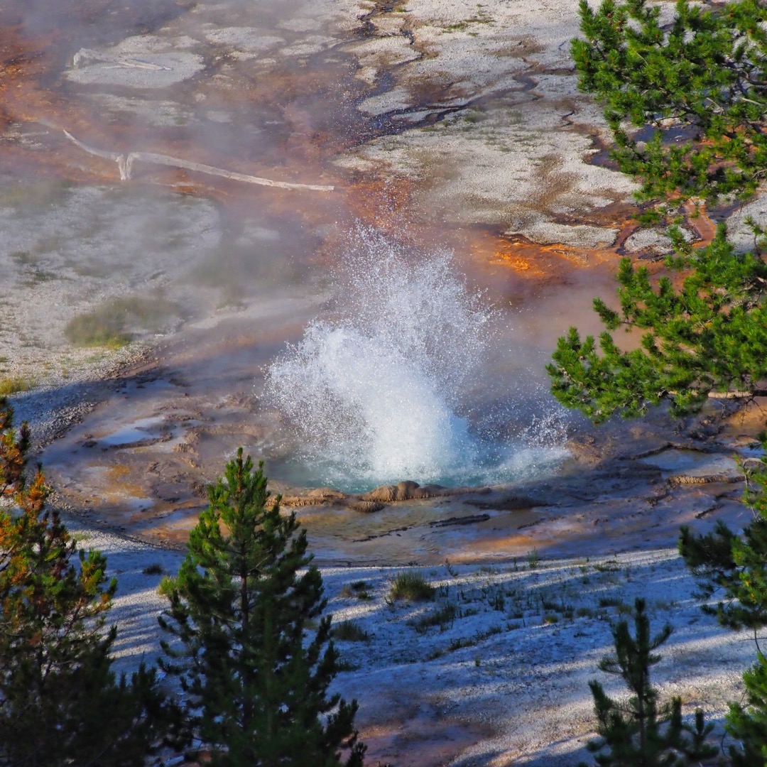 Rustic Geyser in the Heart Lake Geyser Basin