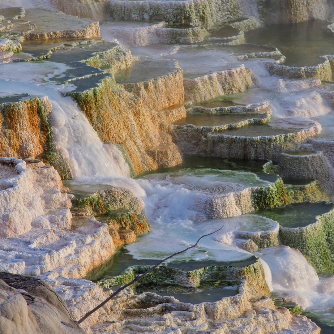 Finding Yellowstone Magic Mammoth Hot Springs