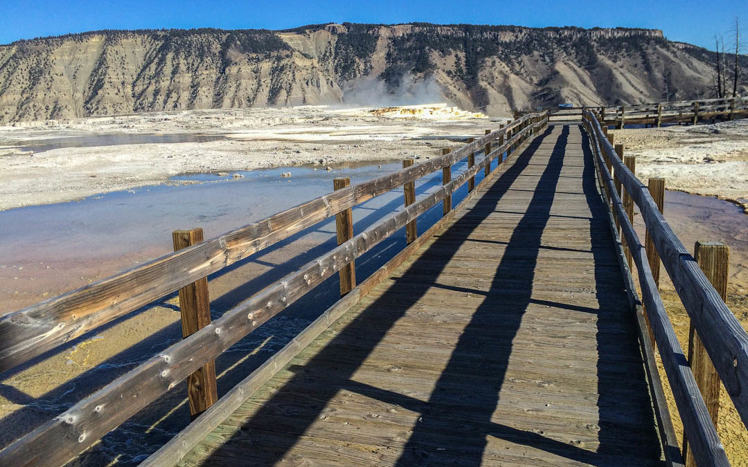 Boardwalk Mammoth Hot Springs Yellowstone National Park