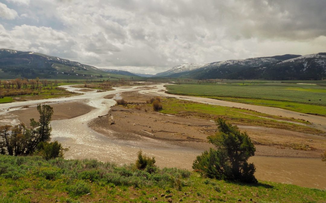 Confluence of the Lamar and Soda Butte Rivers