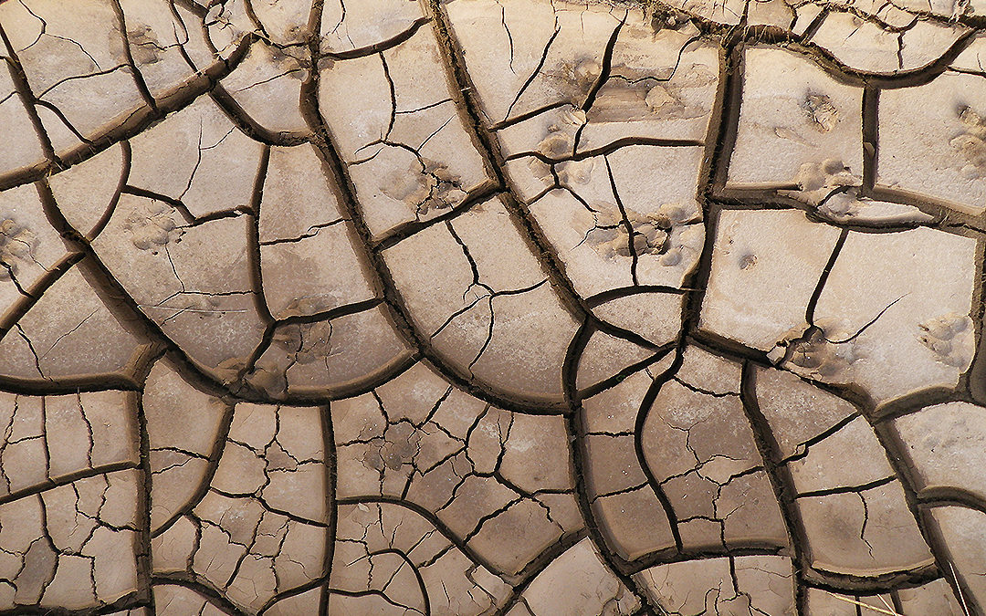 Stuck in the Mud