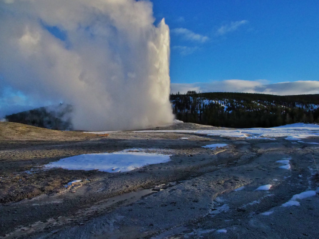 Old Faithful erupts at sunrise