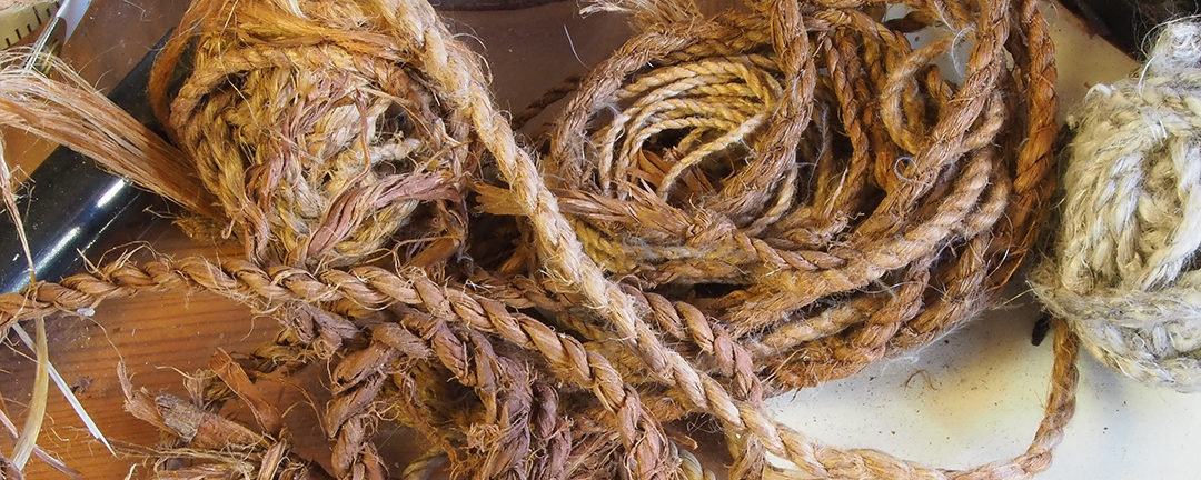 Ties to Our Surroundings: Making Rope from Dogbane