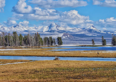 Pelican Creek Yellowstone