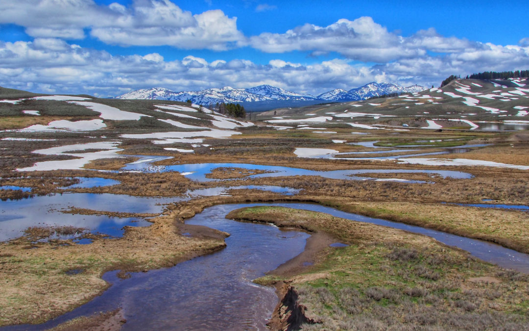 Trout Creek Hayden Valley Yellowstone In Early Spring