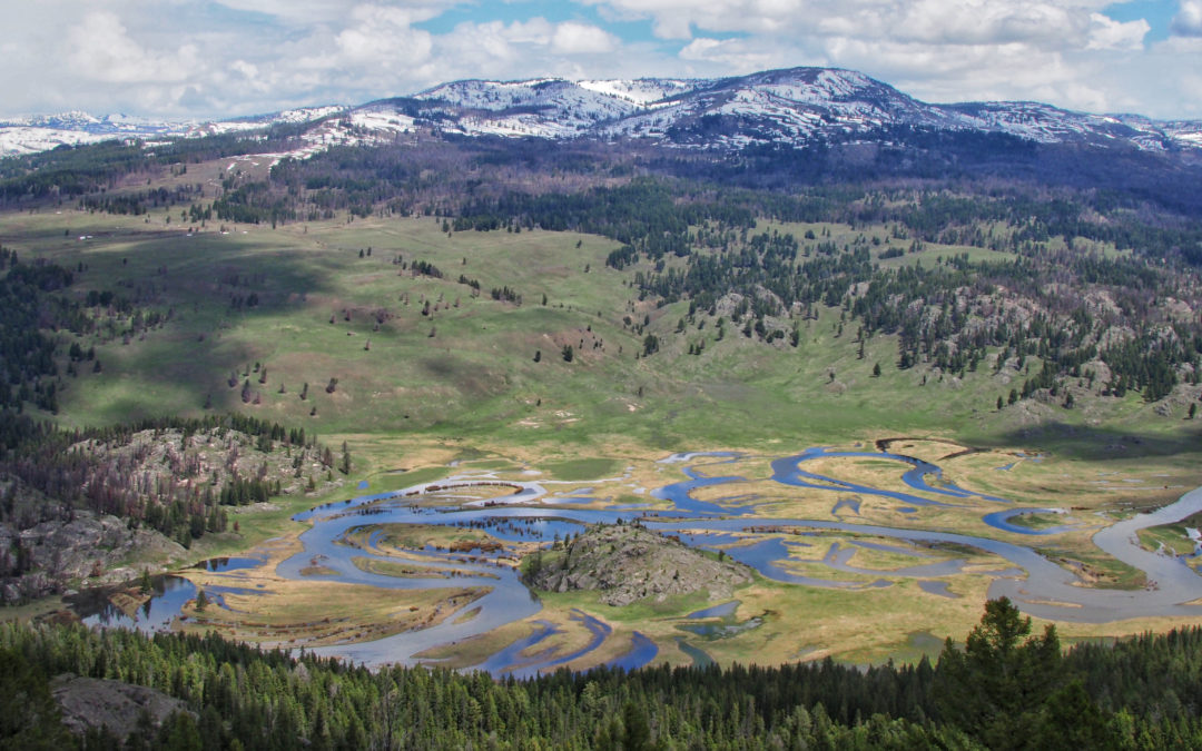 First Meadow Of Slough Creek in spring flood