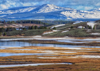 Hayden Valley Yellowstone in early spring