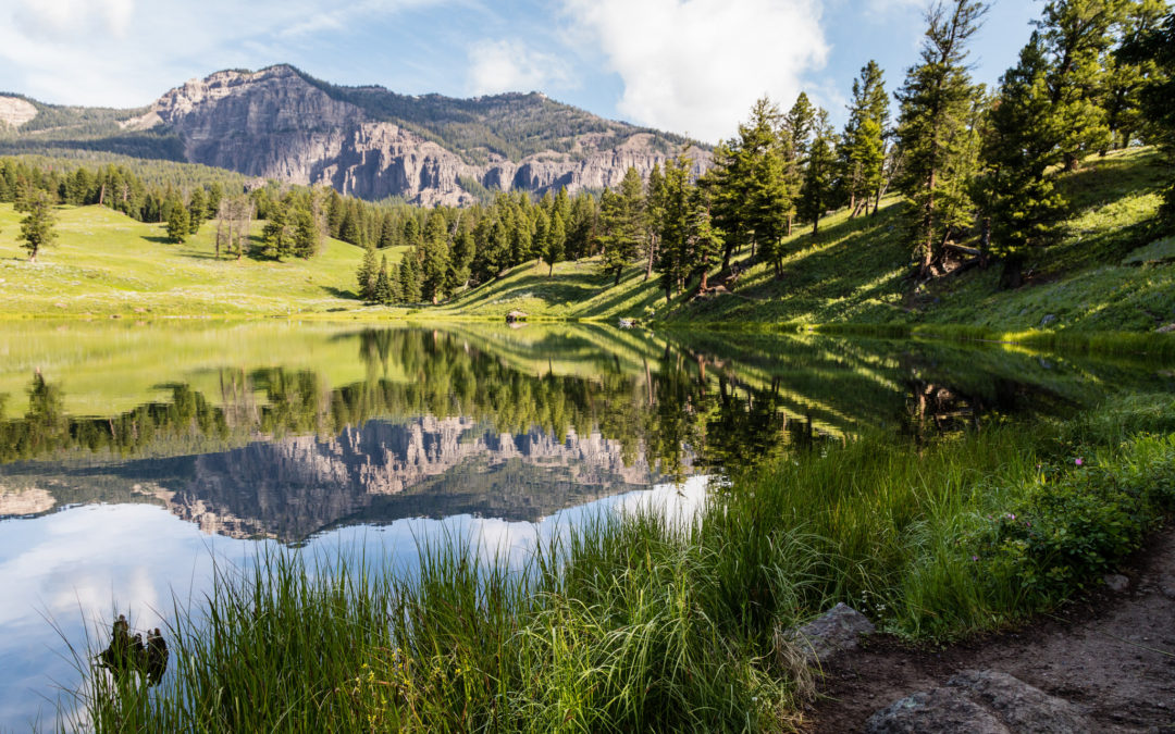 Trout Lake Yellowstone Day Hikes