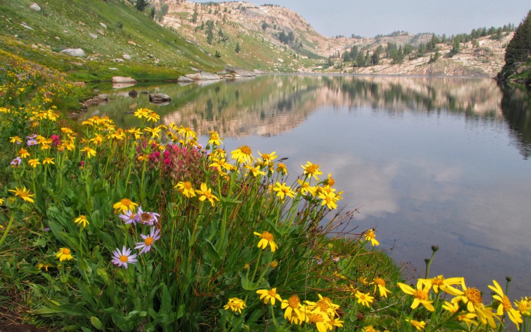 Backpacking the Beartooths in Late Summer