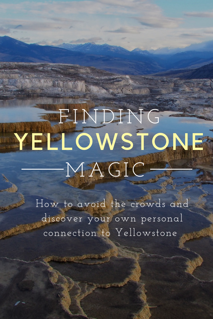 Finding Yellowstone Magic: How to avoid the crowds and discover your own personal Yellowstone