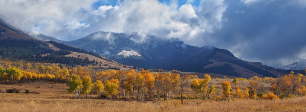 Reveling in Yellowstone Fall Color landscape mountains aspens