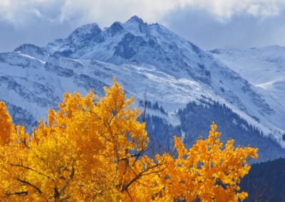 Yellowstone's Fall Colors