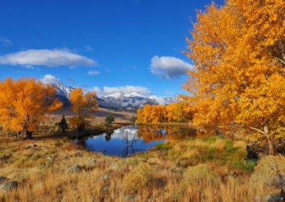 Yellowstone's Fall Colors