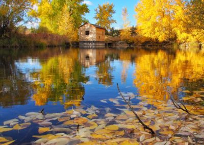 Yellowstone's Fall Colors