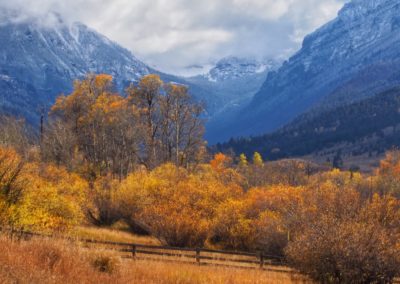 Yellowstone's Fall Colors