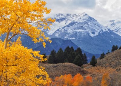 Yellowstone's Fall Colors