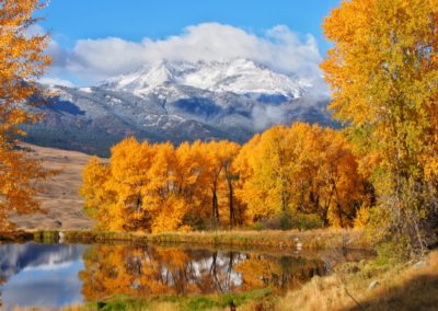 Reveling in Yellowstone's Fall Colors - A Yellowstone Life