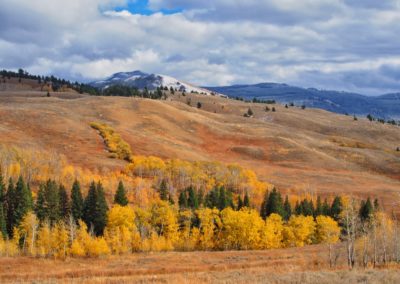 Yellowstone's Fall Colors