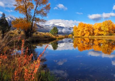 Yellowstone's Fall Colors