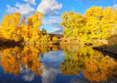 Yellowstone's Fall Colors