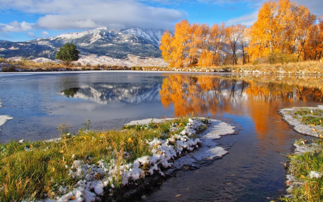 Yellowstone’s Fall Colors