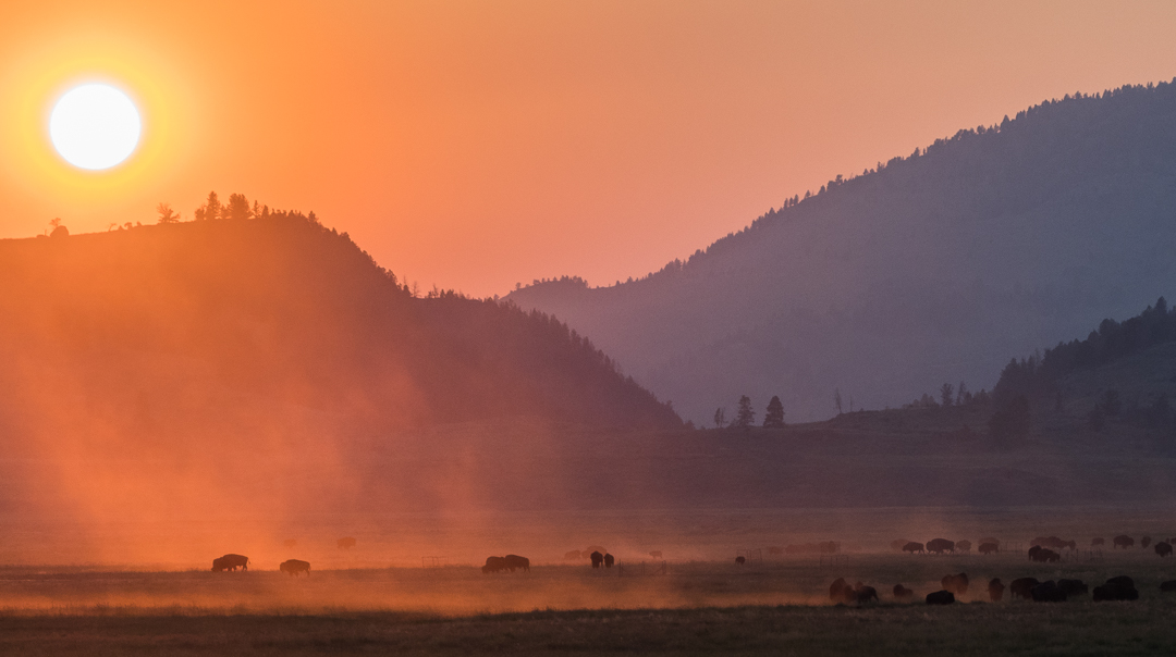 Beat the Yellowstone Summer Crowds