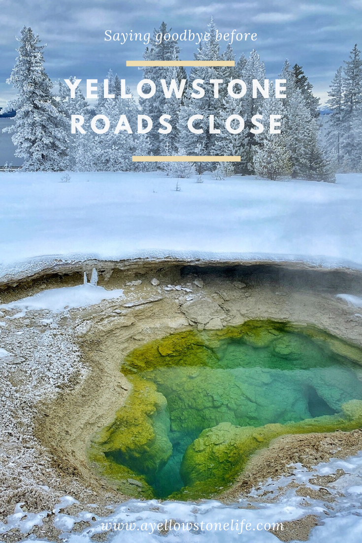 Yellowstone Roads Close West Thumb image