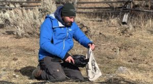 to catch a raven in yellowstone