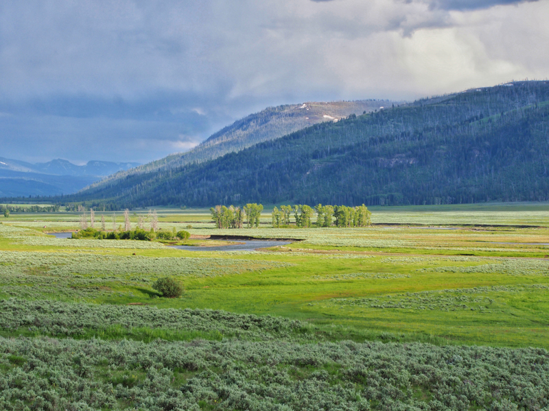 Lamar Valley Spring Yellowstone Jenny Golding photography