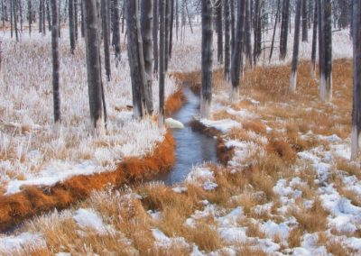 Yellowstone Roads Close Bobby Socks Trees