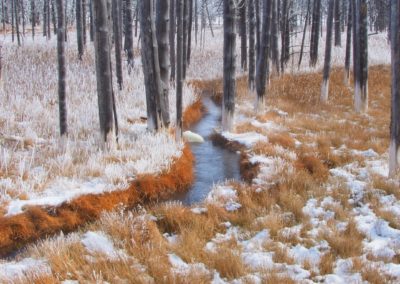 Yellowstone Roads Close Bobby Socks Trees