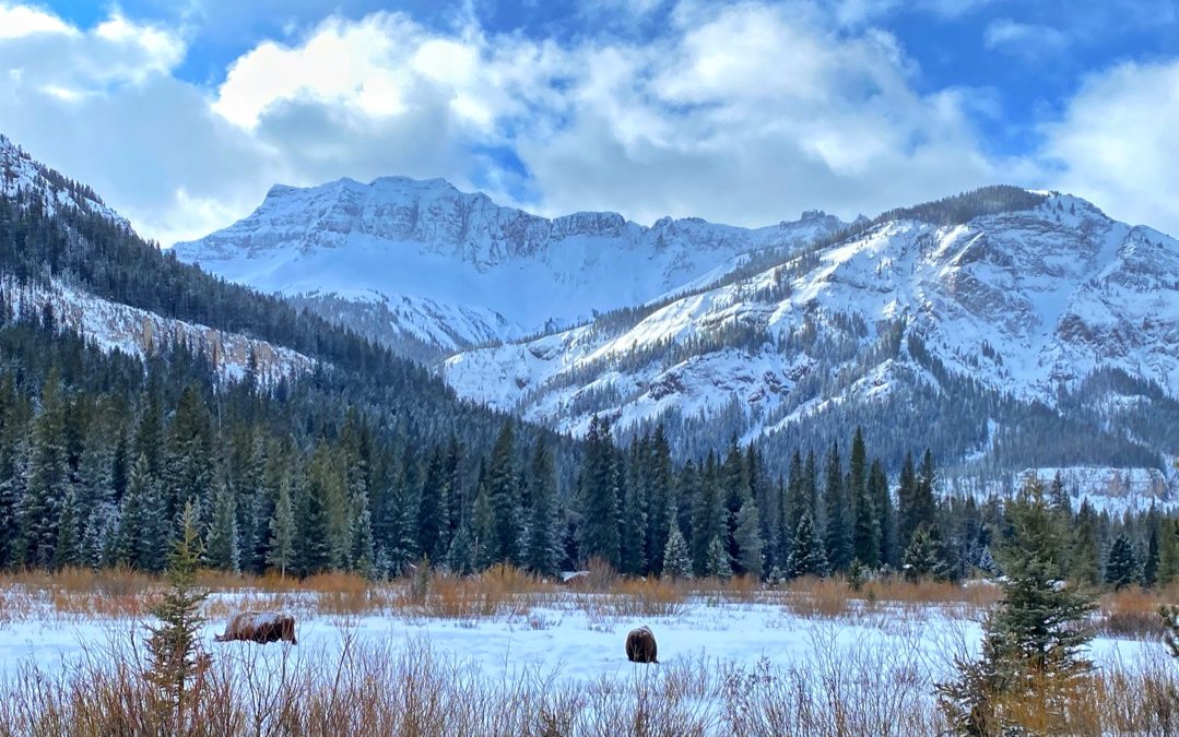 Silver Gate Montana at Yellowstone's Northeast Entrance