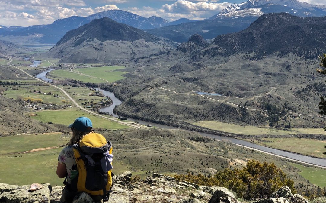 How to practice social distancing in Yellowstone this summer