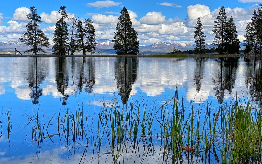 Yellowstone's Bridge Bay Lake