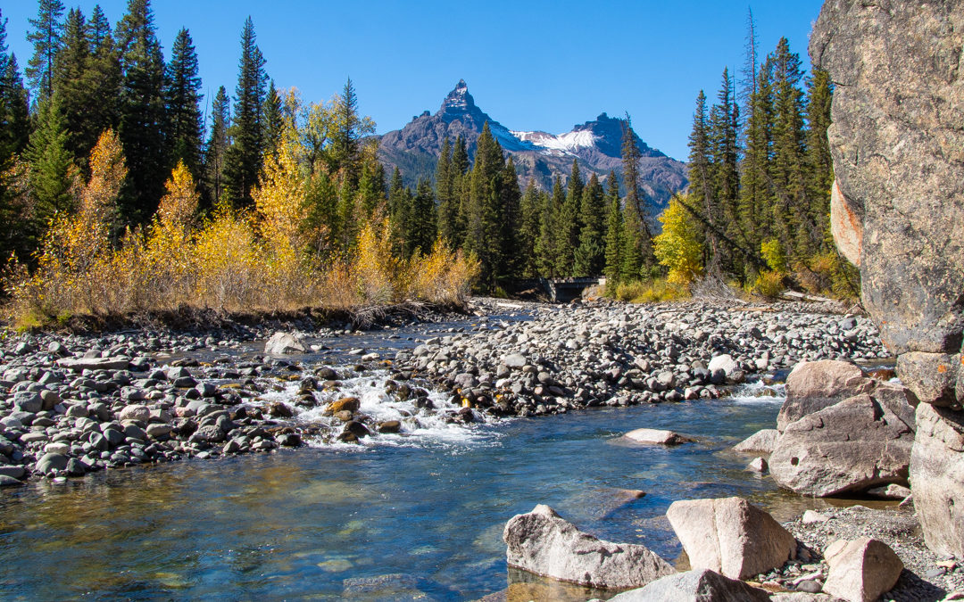 Yellowstone fall color basecamp Cooke City 4