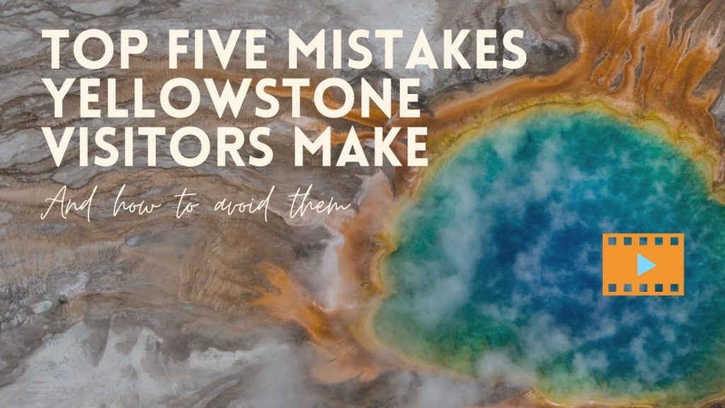 Five Mistakes Yellowstone Visitors Make  A Yellowstone Life