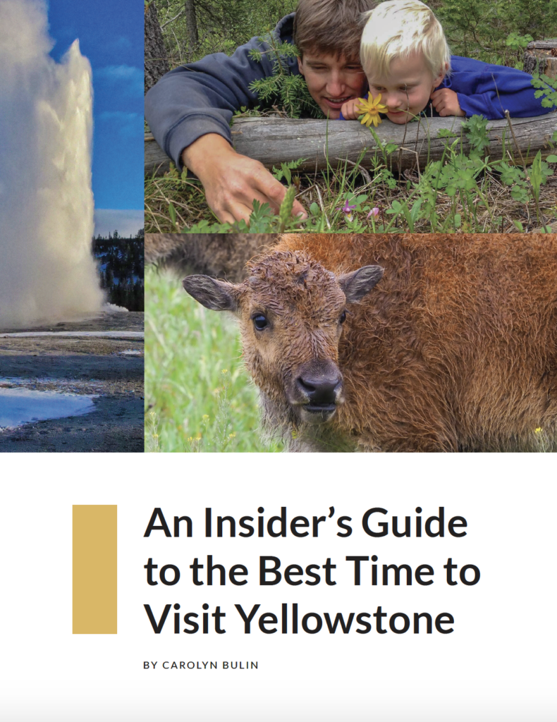 best time to visit yellowstone park