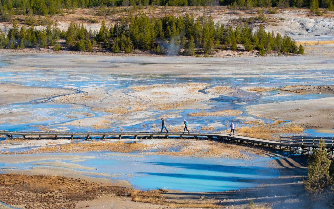 Eight Things You Need to Know Before Visiting Yellowstone Norris Geyser Basin