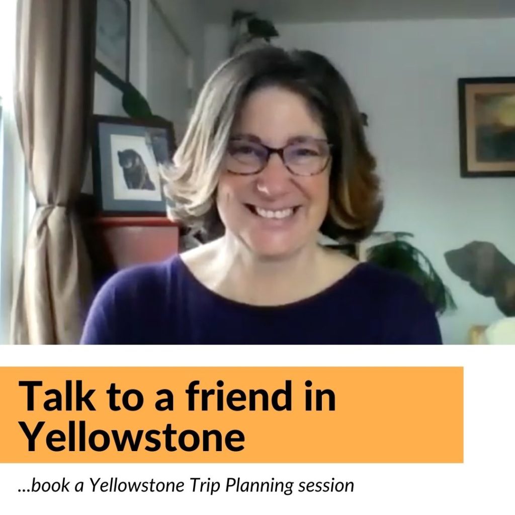 planning your yellowstone trip book a session