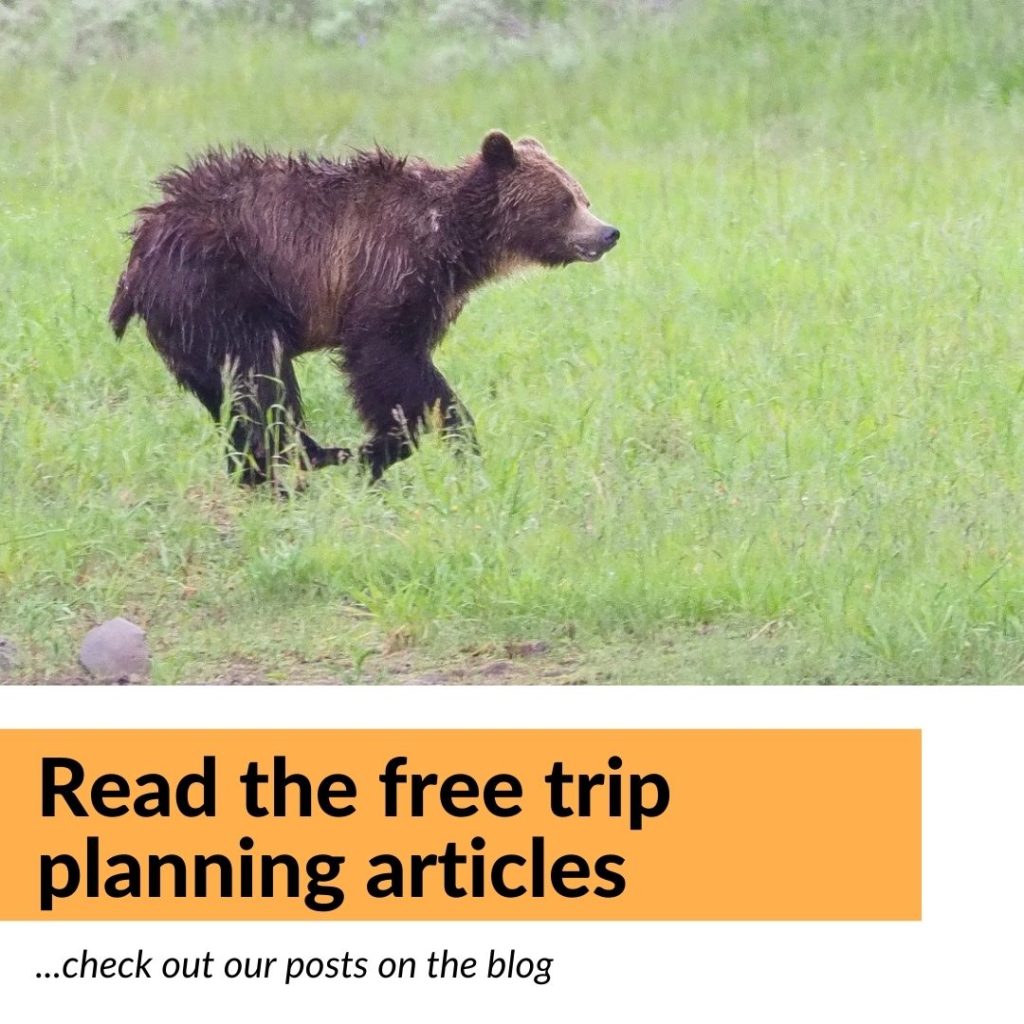 planning your Yellowstone trip free articles