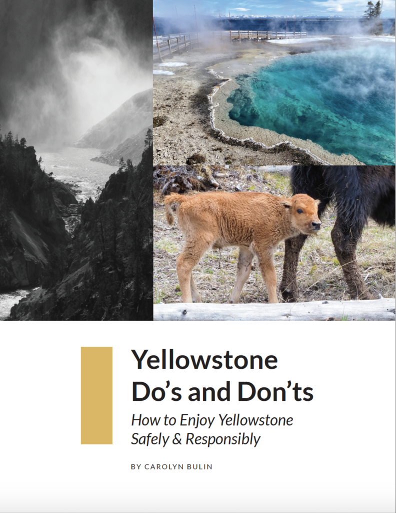 What not to do in Yellowstone