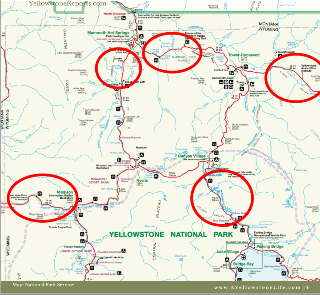 Yellowstone wildlife map