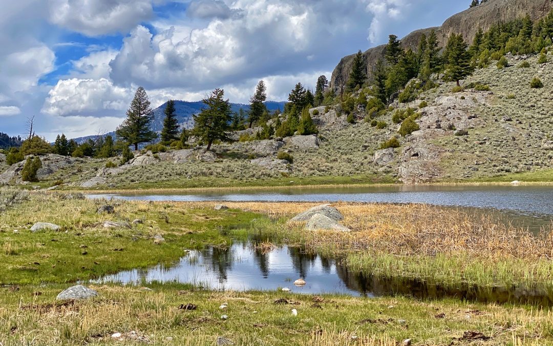 20th Anniversary Yellowstone Backpacking Trip