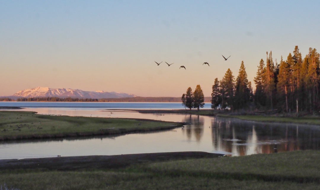 A better way to visit Yellowstone sunrise Yellowstone Lake